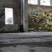 ...e l'interno sembra essere tuttora frequentato: sui muri spiccano graffiti dai colori ancora vivaci, segno che sono stati disegnati da poco...